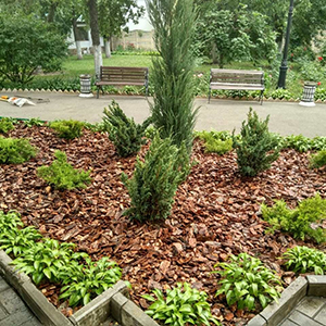 Хвойная мульча в Белгороде купить - оперативная доставка по всей России
